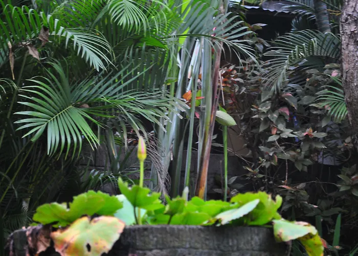 Gasthuis Trijaya Pemuteran