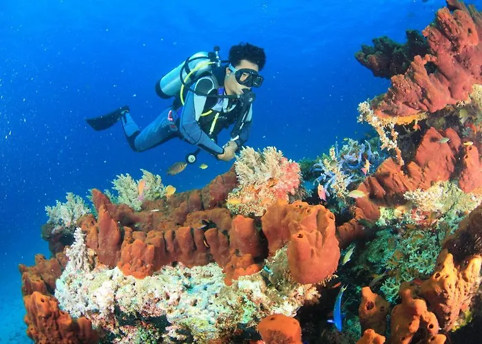 Trijaya Gasthuis Pemuteran